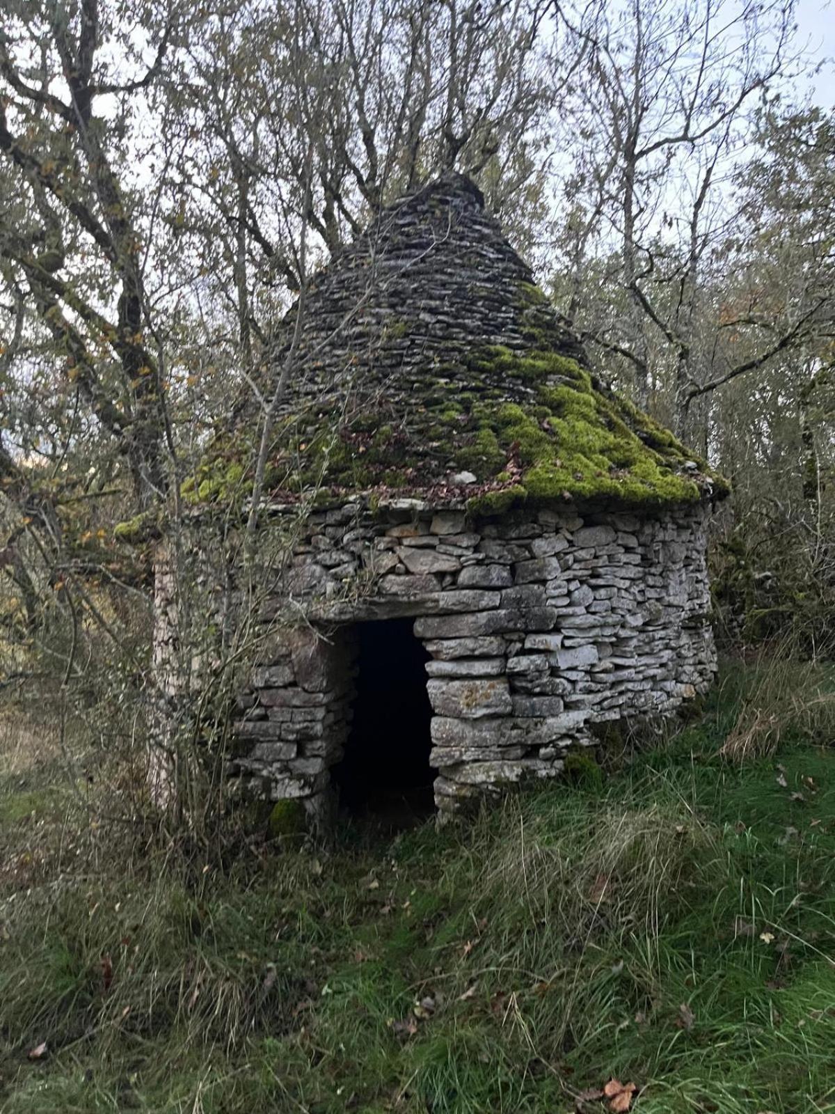 Aux Lodges Du Mas De Nadal Sauliac-sur-Célé Εξωτερικό φωτογραφία
